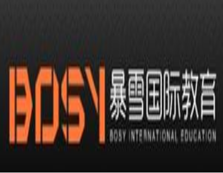暴雪國際教育