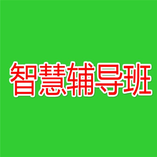 智慧輔導(dǎo)班