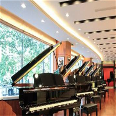 小提琴培訓(xùn)