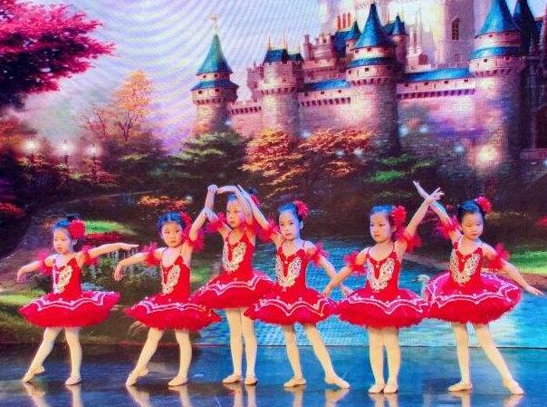 中芭藝蕾舞蹈學校