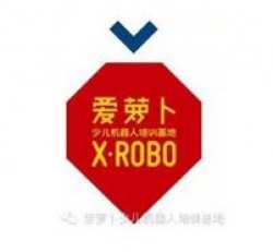 愛蘿卜少兒機器人