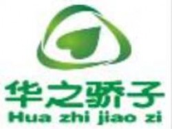 華之驕子右腦潛能開發