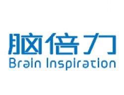 腦倍力全腦開發