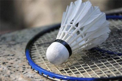 夫子羽毛球教育