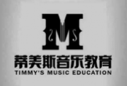 蒂美斯音樂教育