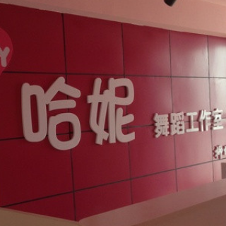 哈妮國際舞蹈培訓(xùn)