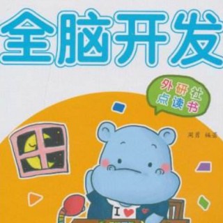 幼童全能全腦開發(fā)