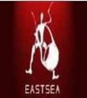 東海藝術(shù)畫(huà)室