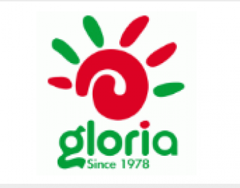 葛洛莉英語(yǔ)