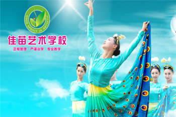 佳苗藝術(shù)學(xué)校