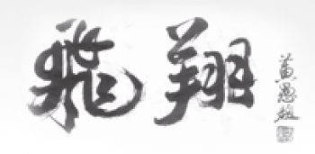 飛翔跆拳道教育