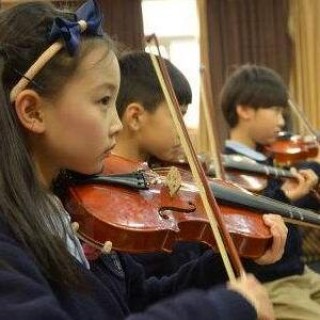 傾琴園培訓(xùn)