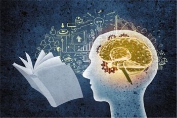 九天腦智全腦教育