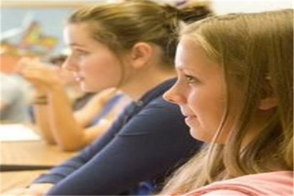 繪本樹英語加盟