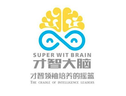 才智大腦