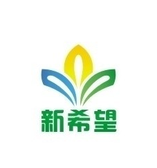 新希望美術教育