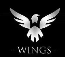 WINGS韋筃斯籃球俱樂部