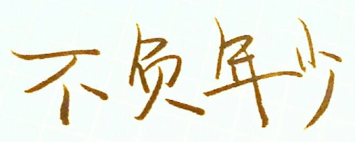 不負年少青少年籃球發展聯盟