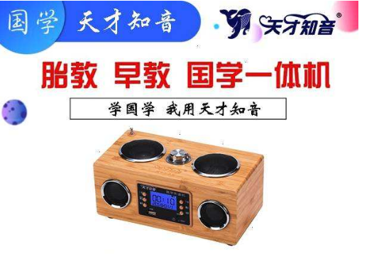 天才知音國學機