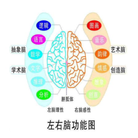清大益師全腦教育 清大益師全腦教育