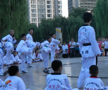 龍珠跆拳道 龍珠跆拳道