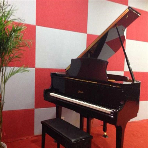 博樂琴行 博樂琴行