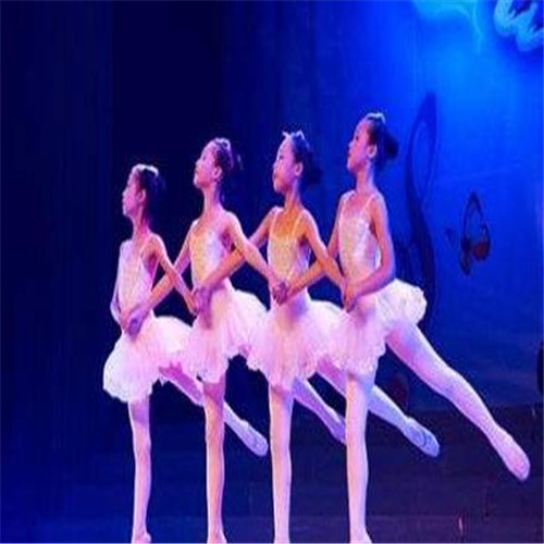 舞之韻舞蹈藝術