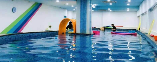 么么家親子水育早教加盟 么么家親子水育早教加盟