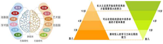 家有兒女全腦開發加盟 家有兒女全腦開發加盟