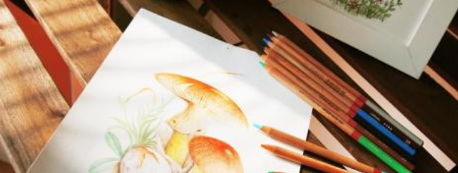 飛樂鳥藝術中心加盟 飛樂鳥藝術中心加盟