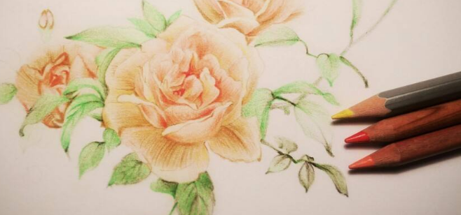 飛樂鳥藝術中心加盟