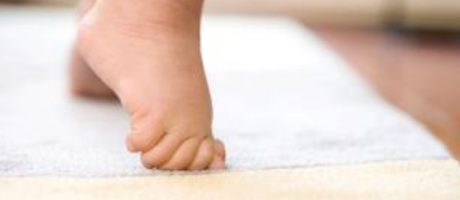 紐諾·艾瑪國際保育園加盟