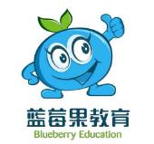藍莓果學前班