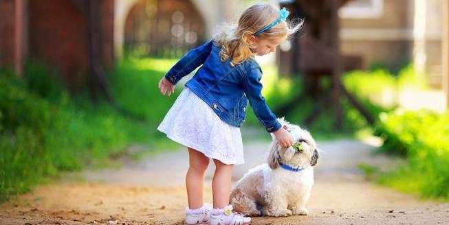 山竹幼兒編程早教加盟