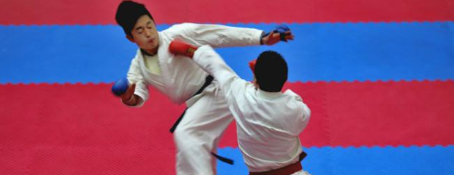 菲動兒童武道體能中心加盟