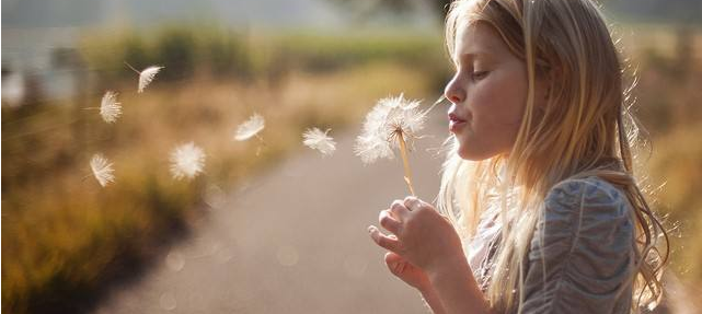 live互動美語加盟