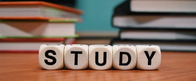 小海龜感統訓練加盟 小海龜感統訓練加盟