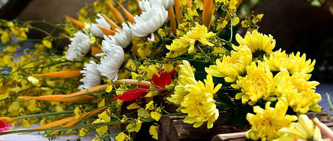 博思(國際)教育加盟