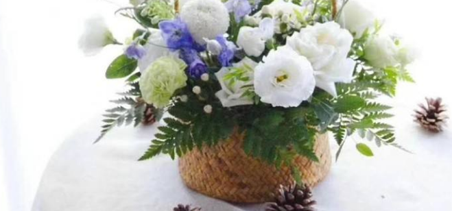 博思(國際)教育加盟