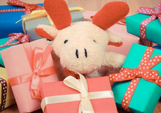 童智寶加盟 童智寶加盟