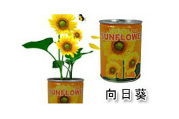 植物花草啟蒙教育玩具加盟