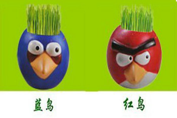 植物花草啟蒙教育玩具加盟