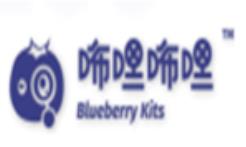 咘哩咘哩電子積木