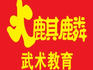 火麒麟武術教育